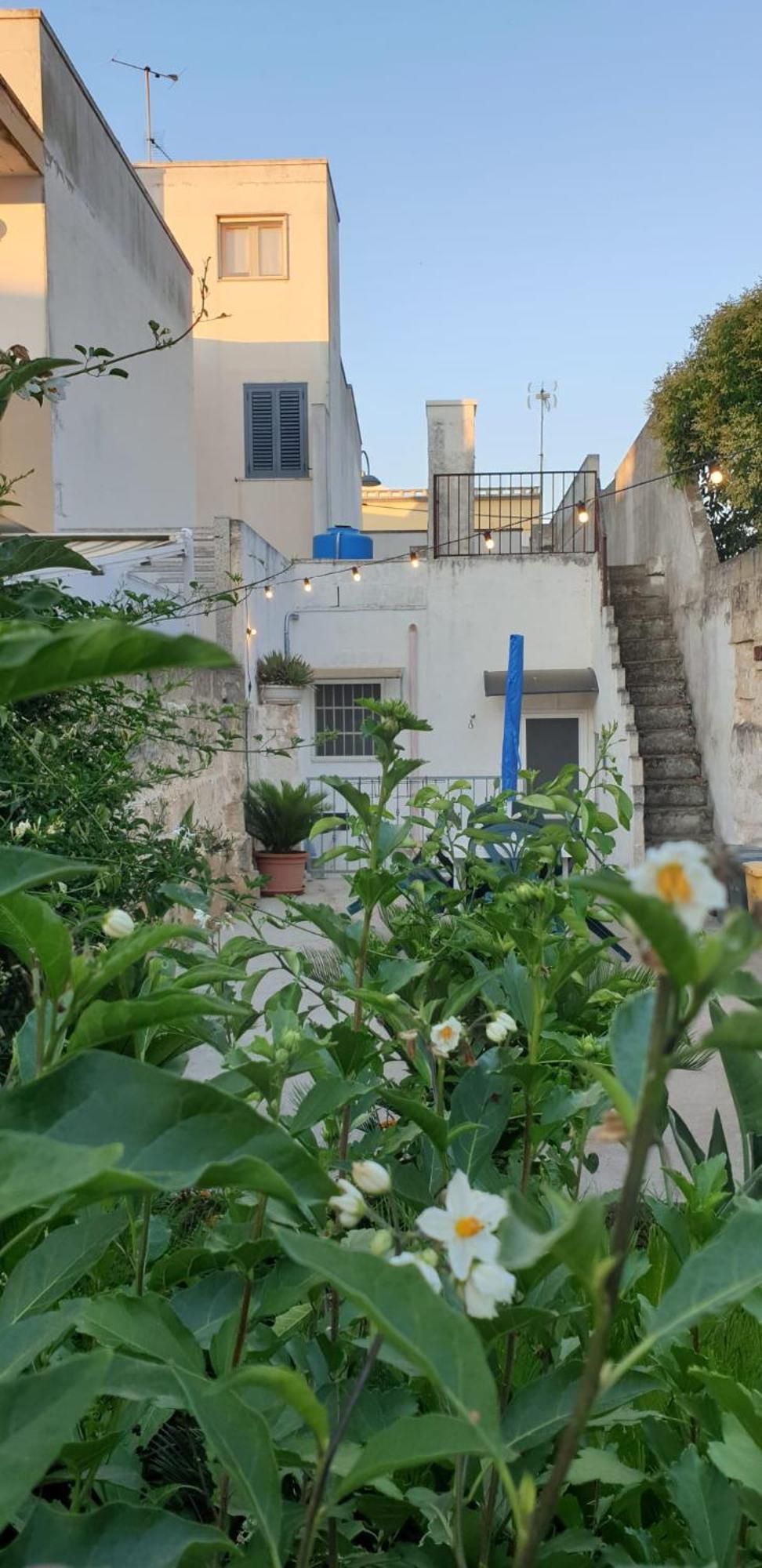 Casa Vacanze Ale&Va Alezio Eksteriør billede